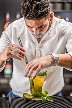 Bartender preparing mojito cocktail