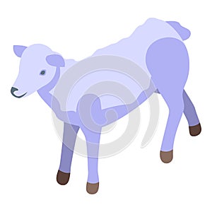 Barter sheep icon isometric vector. Business economy