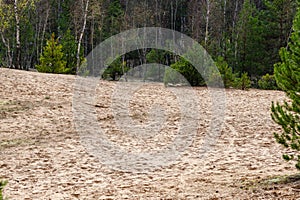 Bartkuskis dune is a wind-blown sand hill (dune) located in Bartkuskis forest, 36 km from Vilnius