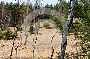 Bartkuskis dune is a wind-blown sand hill (dune) located in Bartkuskis forest, 36 km from Vilnius photo
