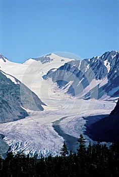 Bartlett Glacier in Alaska  20719