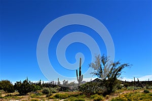 Bartlett Lake reservoir, Maricopa County, State of Arizona, United States scenic landscape view