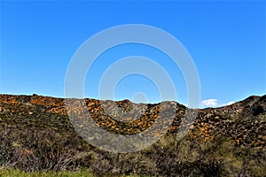 Bartlett Lake reservoir, Maricopa County, State of Arizona, United States scenic landscape view