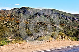 Bartlett Lake reservoir, Maricopa County, State of Arizona, United States scenic landscape view