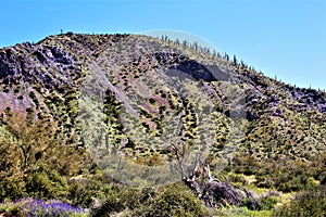 Bartlett Lake reservoir, Maricopa County, State of Arizona, United States scenic landscape view