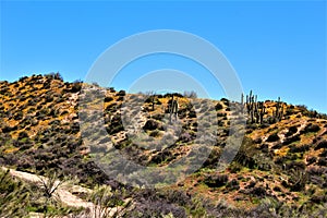 Bartlett Lake reservoir, Maricopa County, State of Arizona, United States scenic landscape view