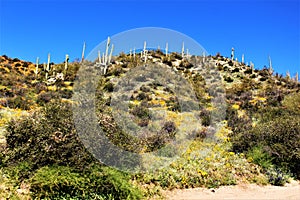 Bartlett Lake reservoir, Maricopa County, State of Arizona, United States scenic landscape view