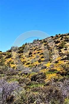 Bartlett Lake reservoir, Maricopa County, State of Arizona, United States scenic landscape view