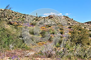 Bartlett Lake reservoir, Maricopa County, State of Arizona, United States scenic landscape view