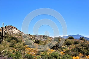 Bartlett Lake reservoir, Maricopa County, State of Arizona, United States scenic landscape view