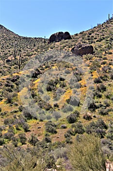 Bartlett Lake reservoir, Maricopa County, State of Arizona, United States scenic landscape view