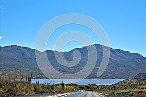 Bartlett Lake reservoir, Maricopa County, State of Arizona, United States scenic landscape view