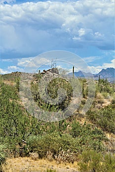 Bartlett Lake Reservoir, Maricopa County, State of Arizona, United States scenic landscape view