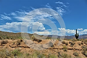 Bartlett Lake Reservoir, Maricopa County, State of Arizona, United States scenic landscape view