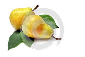 Bartlett Pear
