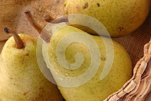 Bartlett pears horizontal photo