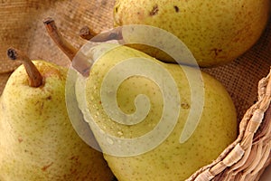 Bartlett pears horizontal