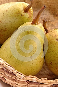 Bartlett pears vertical close