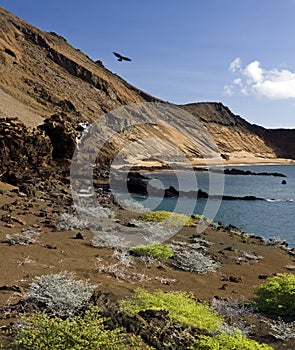 Bartolome - Galapagos Islands photo