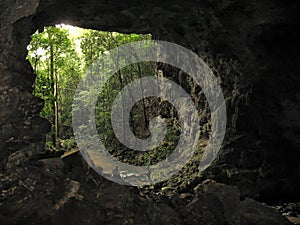 Barton Creek Cave photo