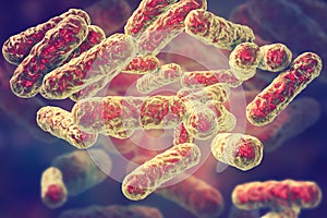 Bartonella henselae bacteria, the causative agent of cat-scratch disease