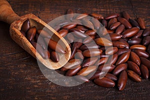 Baru almond on wooden background photo