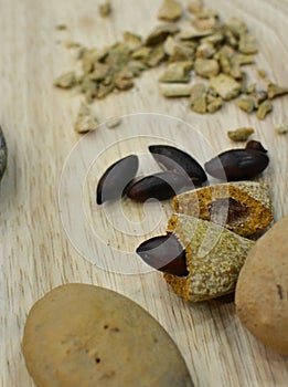 Baru Nuts displayed in different forms photo