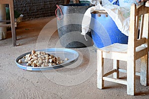 Baru nuts in a sieve, typical Brazilian fruit photo