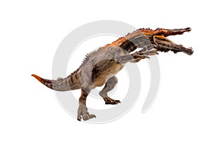 Baryonyx  ,dinosaur on white background