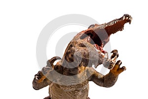 Baryonyx  ,dinosaur on white background