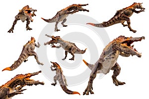Baryonyx  ,dinosaur on white background