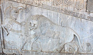 Bas-relief with a bull and a lion, Persepolis, near Shiraz, Iran