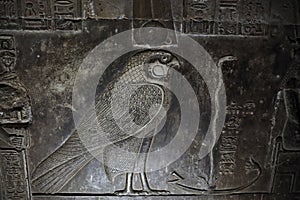 Bas-relief of egyptian falcon God Horus