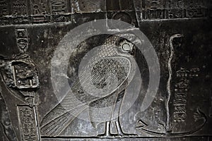 Bas-relief of egyptian falcon God Horus