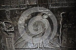 Bas-relief of egyptian falcon God Horus photo