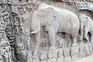 Bas relief of elephant rock cut sculpture