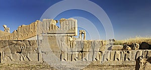 Bas-relief of persepolis ruinsï¼ŒShiraz IRan