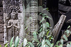 Bas-relief at Ta Prohm temple, Cambodia