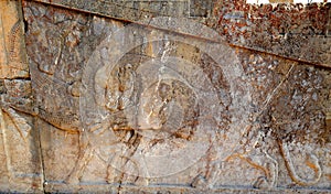 Bas-reliefs in Persepolis