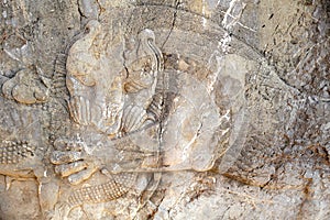 Bas-reliefs in Persepolis