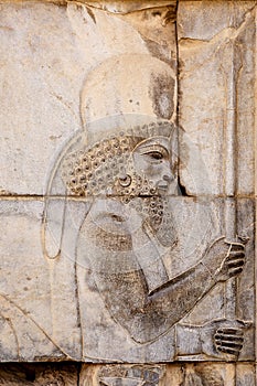 Bas-reliefs of a soldier in Persepolis Iran