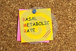 Basal metabolic rate