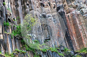 Basalt cliffs in sinop photo