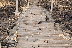 Basalt Column Rock Formations Steps India photo