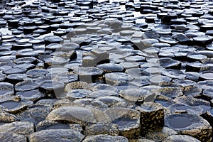 Basalt columns of Giants Causeway