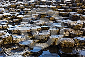 Basalt columns of Giants Causeway