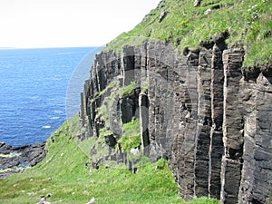 Basalt columns near Carsaig, Mull