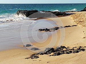 Basalt Lava Rock on Golden Shores