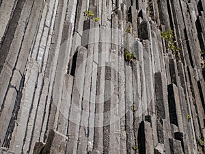 Basalt organ pipes - detail