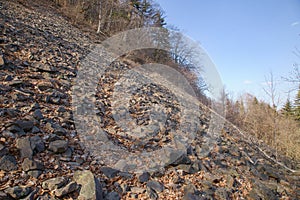 Basalt rock sea under the Velky Gric rock, Slovakia